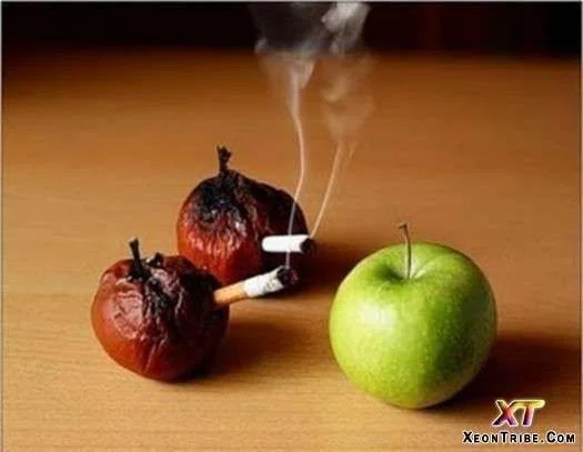 interesting-food-fun-24.webp