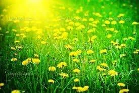 Into light.webp