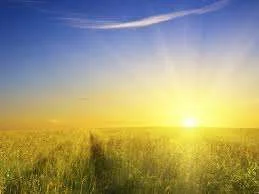 into the light.webp