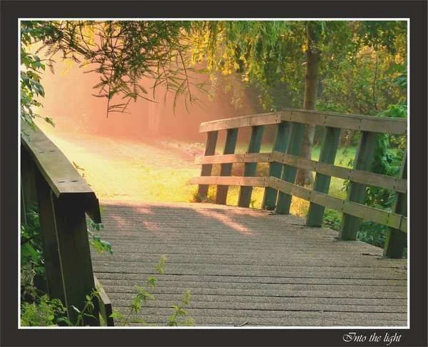 Into_the_light_a.webp