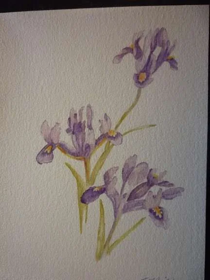 iris.webp