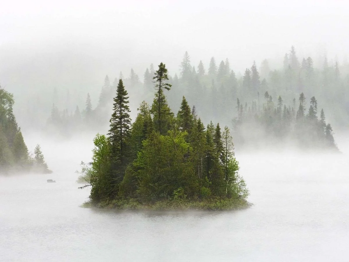 Island in fog.webp