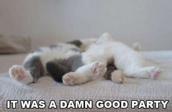 It-was-a-damn-good-party.webp