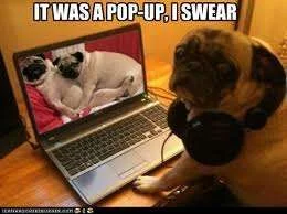 It was a pop up.webp