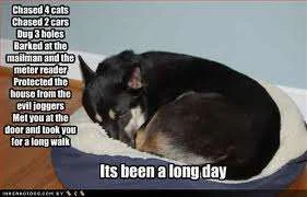 Its been a long day.webp