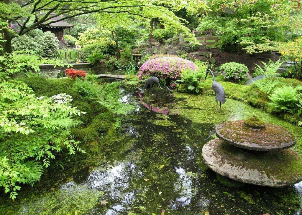 Japanese-Garden-Tatton-Park_49.webp