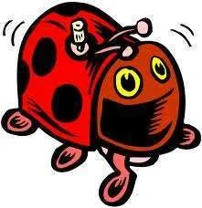 JB2.webp