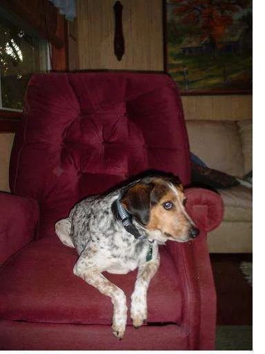 Jesse.webp