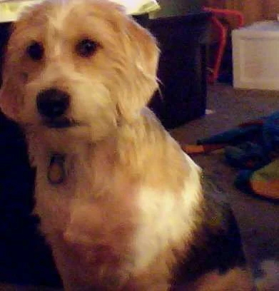 Jethro.webp
