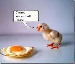 Jimmy answer me egg.webp