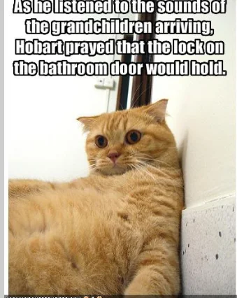 joke about cat locking the door.webp