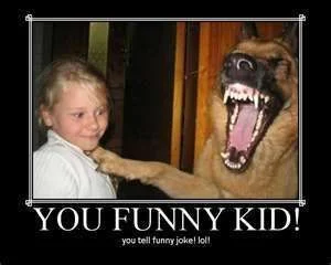 joke.webp