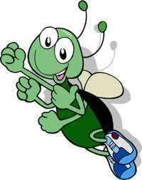 junebug2.webp