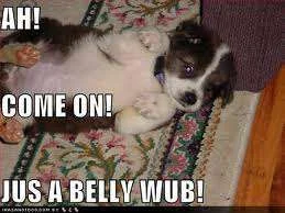 Jus a belly rub.webp