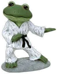Karate frog.webp