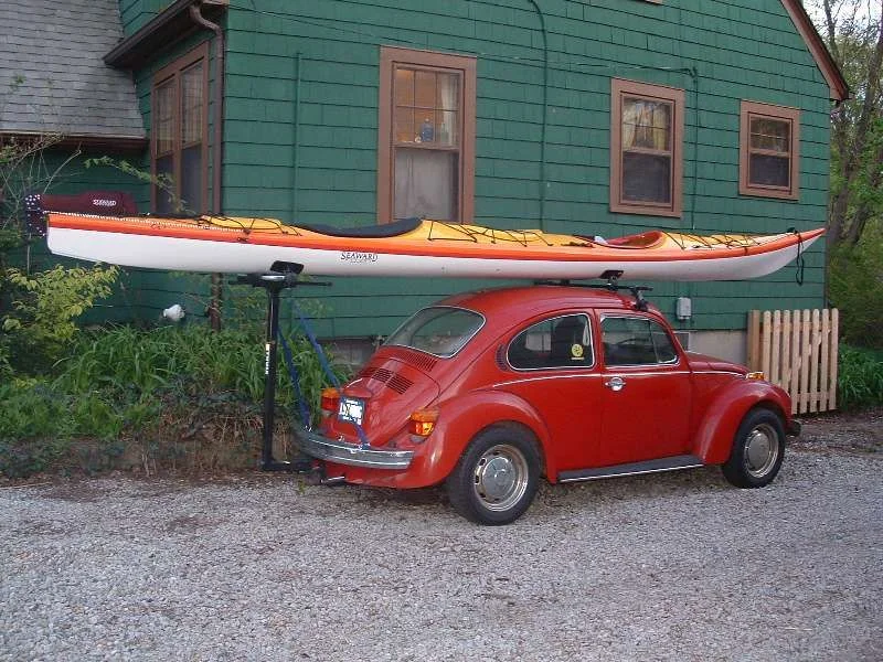 kayak bug.webp