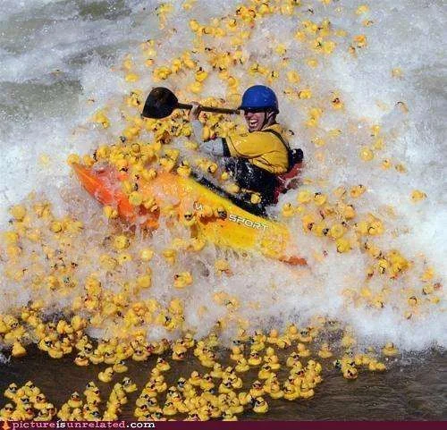 kayak with ducks.webp