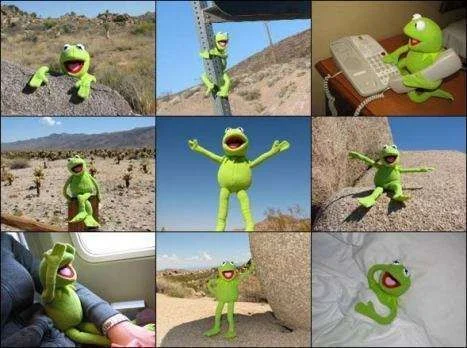 kermit (1).webp