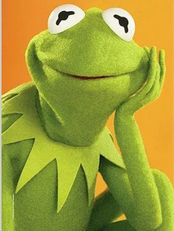 kermit the frog for froggie.webp