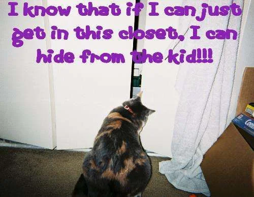 kid cat.webp