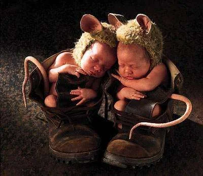 kids-baby-mice.webp
