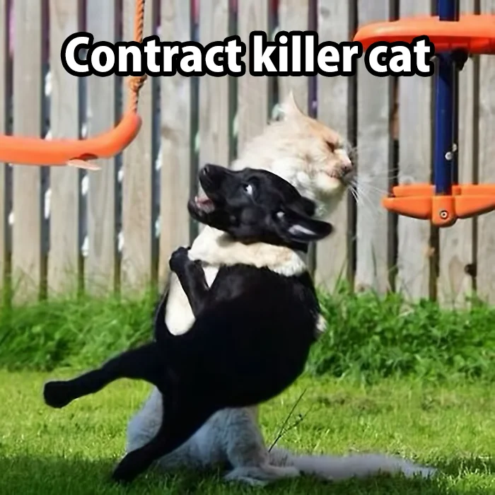 killer cat.webp