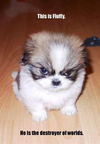 killer_dog.webp