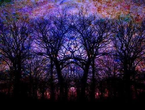 King-Stribor-s-Enchanted-Forest-qpps_493681884569643.LG.webp