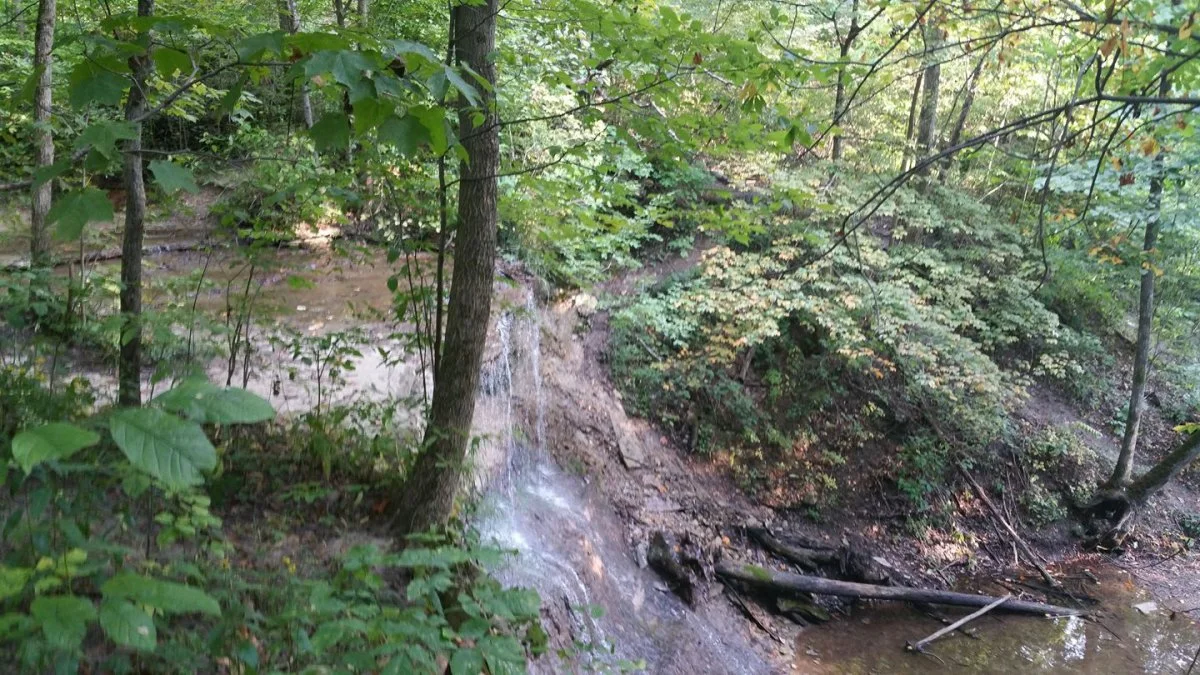 kissing falls.webp