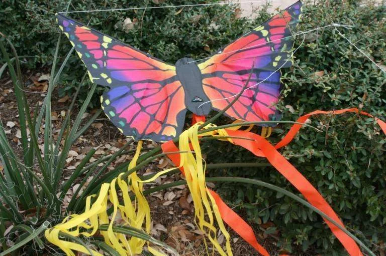 kite2.webp