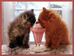kitty ice cream.webp