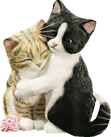 kitty1.gif