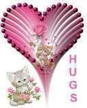 Kitty_hugs.webp