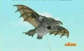 koala.webp