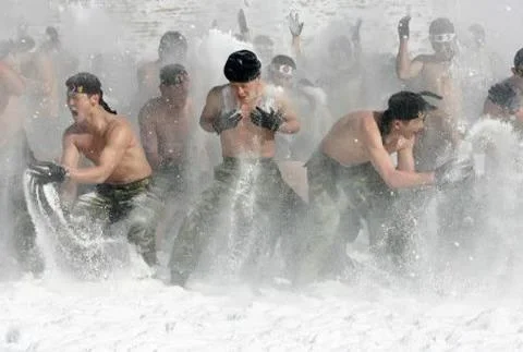 Korean Snow.webp