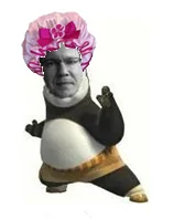 Kung Fu Anthony Shower Cap.webp