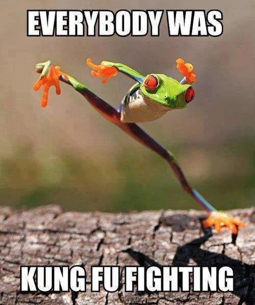 kung fu frog.webp