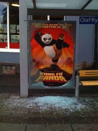 kungfu.webp