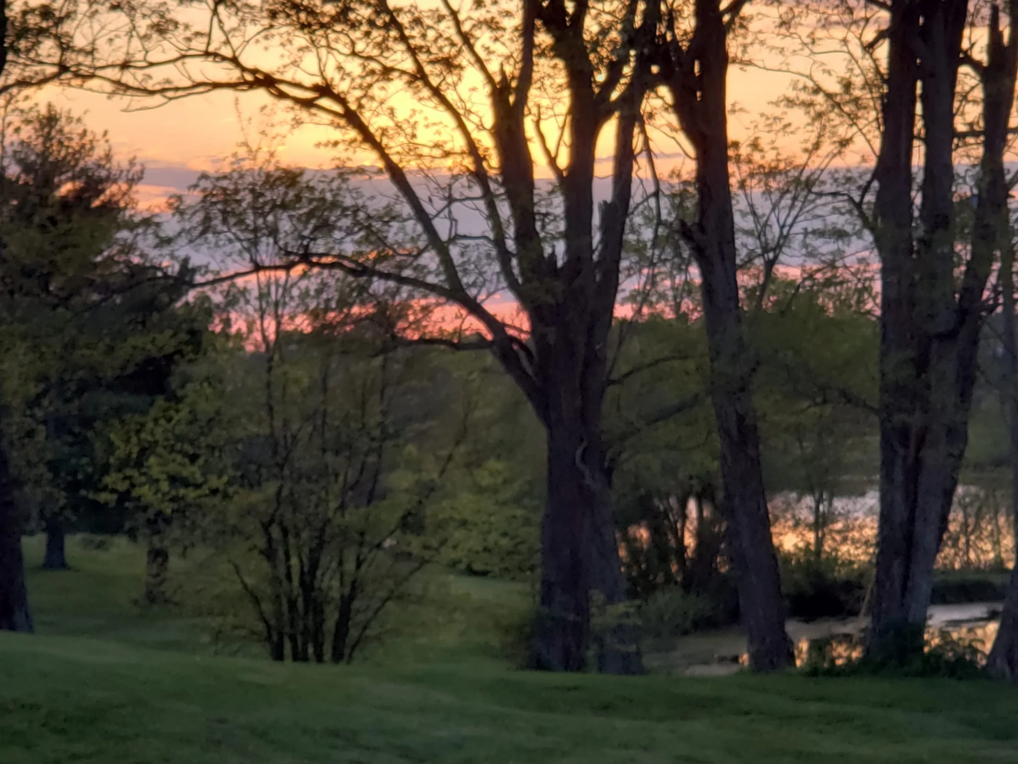 L Sunset.webp