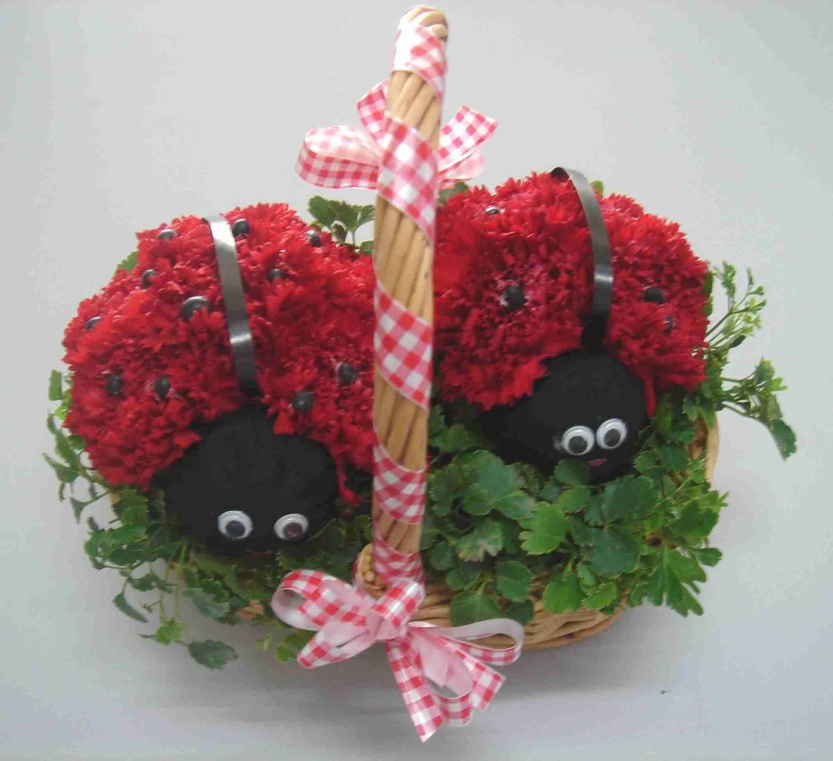ladybird.webp