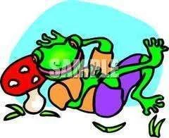 laid back frog.webp