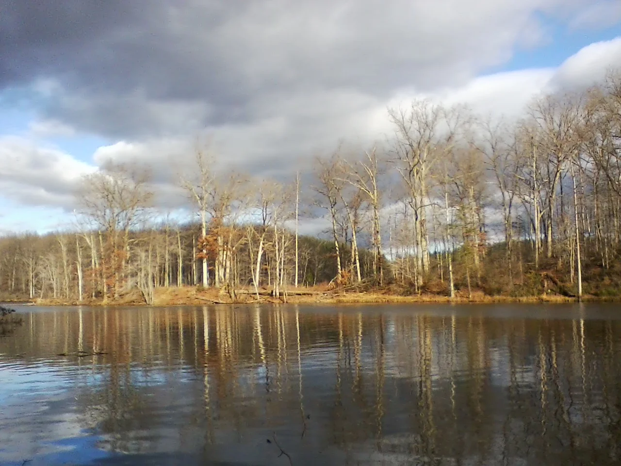 Lake 2018.webp