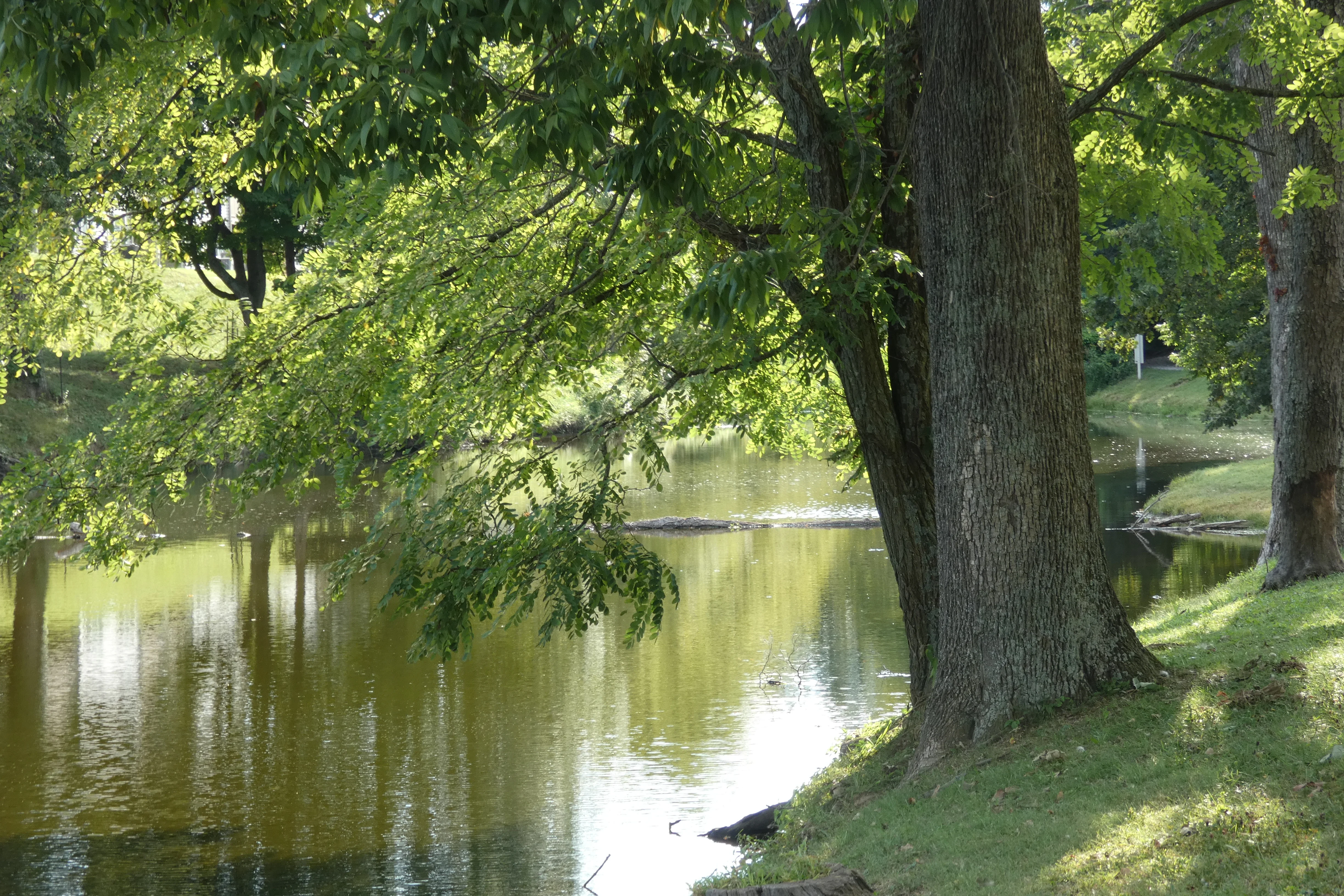 lake.webp