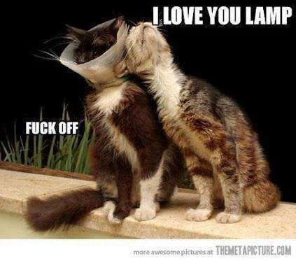 lamp.webp