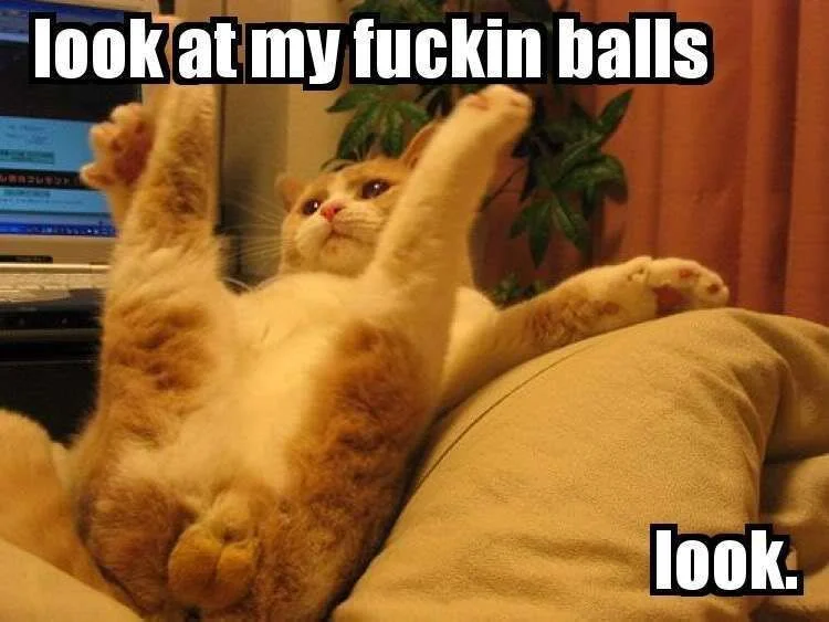 laughed+my+balls.webp