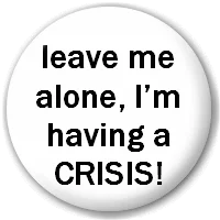 leave_me_alone_im_having_a_crisis.webp