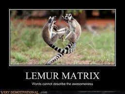 Lemur matrix.webp