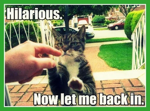 let-me-back-in.webp