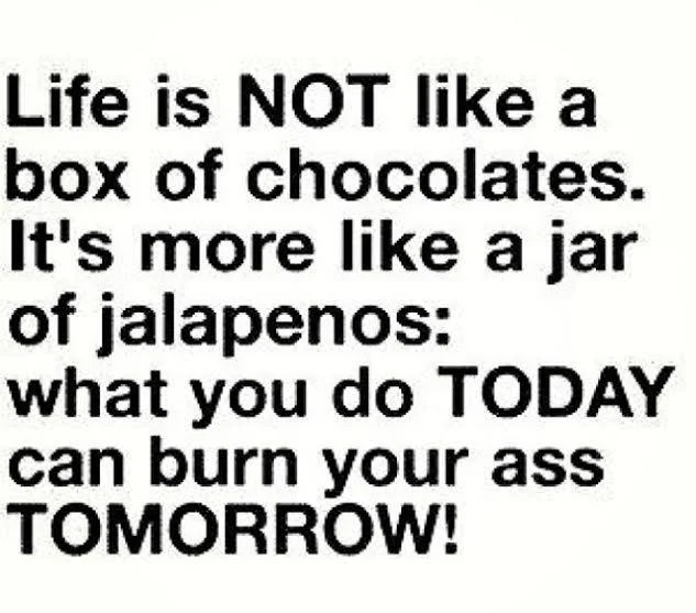 life burn.webp