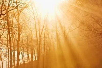 light.webp